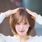강아지가 포즈도 잘하네’ (웬디의 영스트리트 출근길) [<b>HD</b>포토]