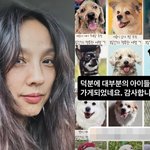'이상순' 이효리, 긴급 <b>SOS</b> 통했다…"대부분의 아이들이 임보...