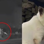 나옴;; (+솜솜이, 군인, 비비탄 <b>난사</b>, 예비역, 인스타그램)