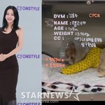 한예슬, 강아지 낙상사고 후 "직원 실수 확인..입원 중"