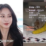 한예슬, 낙상사고 전말…"현재 입원, 낙상사고였다" [RE:스타]