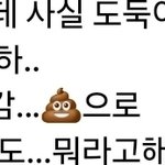 <b>도둑</b>들 똥싸고 간다는거 ㄹㅇ인가보네