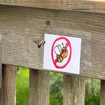 <b>기여운</b>짤봣어