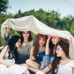 프<b>미나</b> 컨포 트위터에서