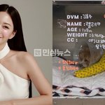 한예슬 반려견 낙상 사고 실화냐;; 강아지 호텔 어디? 직원 실수라는데;;...
