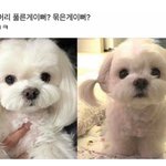 나잠와