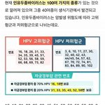 [댓글부탁해] 자궁경부암 유발하는 <b>hpv</b>(인유두종 바이러스) 개수가...
