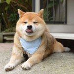 몰라