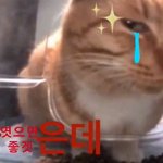 너네 얼굴은 <b>평범</b>한데 몸 ㅈㄴ 좋은 남자랑 사귈 수 있냐