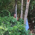 하정우, 숲 속에서 '<b>야외</b> 샤워' 포착…"선녀인가요?" 이하늬도...