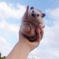 버블파이터아직섭<b>종안</b>함? ㅋ