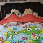 학교에 이<b>담요</b> 가져가는거 ㅂㄹ임?