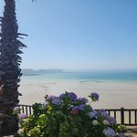 힐링하러 제주도를 갔어