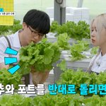 “트랙터로 <b>논밭</b> 질주”…‘얼리어잡터’ 우주소녀 다영, 청주농업고...