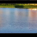 운길산역에서 <b>양수</b>역가는 길에...