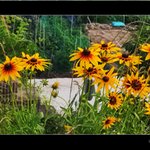 운길산역에서 <b>양수</b>역가는 길에...2