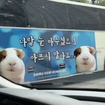[드루와] 방금 <b>누가</b> 우리집 도어락 눌렀는데;;