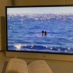 [댓글부탁해] <b>당일</b> <b>연차</b>쓰고 하루종일 집에만 있었음 ㅋㅋ