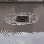 [19] 다들 시선ㄱㄱ 어떻게 <b>대처</b>해???