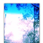 너같은 <b>재수탱</b>이 사랑한다.