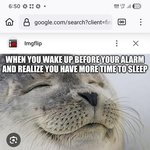 [웨들해물범] 교묘한 부처의 웃음을띈 음흉표