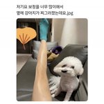 [웃픽] 심한 <b>보정</b>