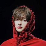 팬싸템에 대한 이해도가 몹시 높은 듯한 남돌