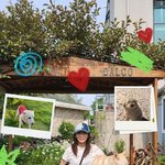 권유로” 브아걸 제아, 6년 제주<b>살</b>이 끝→새 식구와 <b>서울살</b>이 시작