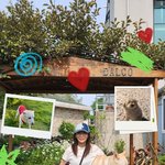 브아걸 제아, 6년 제주살이 끝냈다…서울서 새출발 "음원 준비...