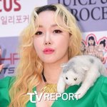 <b>낸시</b>랭 "이혼 후 트라우마 있었지만…'돌싱글즈' 출연도 고려"...