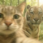 오빠 우리 <b>셀카</b>찍자