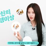 아이브 안유진, 확신의 강아지상이지만 고양이 성향 “졸업사진 부끄러워”