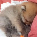 오마이걸 <b>비니</b>랑 에이티즈 성화 뭐임?