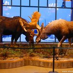 [베트남] 주한미군 철수를 이제는 어떻게 받아 들여야 할까?