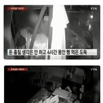 [웃픽] <b>도둑</b> 덕분에 대박난 가게