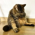 [드루와] 아이돌 사고치는것 때문에 광고<b>업계</b> 빡칠듯 ㅋㅋ