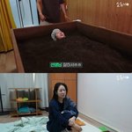  저탄고지 끝 <b>효소</b> 찜질 다이어트..“체질 바뀐 것 같아”(‘소유기’)