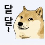 버블파이터섭<b>종안</b>하냐 ㅋㅋ