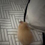 [드루와] 기<b>엽지</b> ><