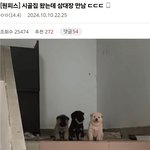 [웃픽] 시골집 왔는데 <b>삼대장</b> 만남ㄷㄷㄷ