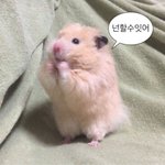 몇군데