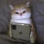 이쁜애들하고 인사외에 기본적인 말도 안섞으려 하는 이유