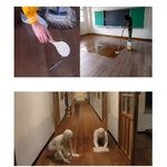 [웃픽] <b>90</b>년대에 초등학교를 다닌 사람은 해봤다는 이것