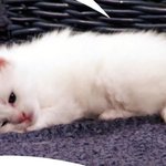7월부터 <b>갓생</b> 살아야쥐