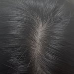 나 정수리 비어<b>보임</b>?