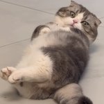 끅
