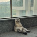 <b>이틀</b>