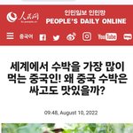 [댓글부탁해] 중국인 한국 <b>수박</b> 가격에 집착하는 이유