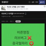 [댓글부탁해] 러브<b>버그</b>로 중혐하는 야갤러들.jpg