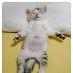 오늘은